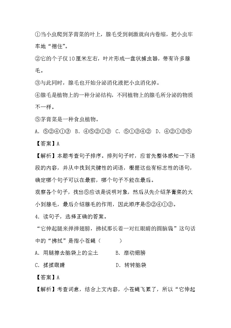 学霸夯基——部编版语文四年级下册同步练习琥珀02