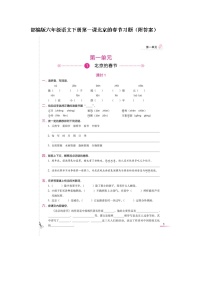 小学语文人教部编版六年级下册1 北京的春节当堂检测题