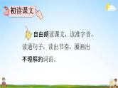 人教部编版四年级语文下册《第11课 白桦》教学课件PPT小学优秀公开课