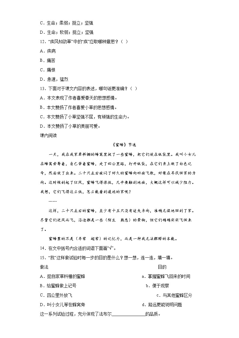 部编版语文三年级下册14.蜜蜂同步练习03