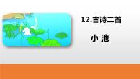 2020-2021学年课文 412 古诗二首小池备课ppt课件