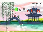 部编人教版四年级语文下册第15课《白鹅》优秀课件练习题
