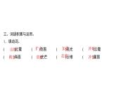 四年级下册部编版语文习题课件  第五单元16 海上日出