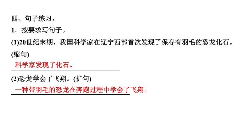 四年级下册部编版语文习题课件  第二单元 ６　飞向蓝天的恐龙06