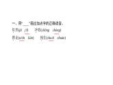 四年级下册部编版语文习题课件  第八单元 26 宝葫芦的秘密(节选)
