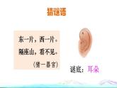 19 大象的耳朵初读感知课件