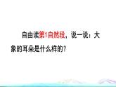 19 大象的耳朵品读释疑课件