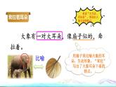 19 大象的耳朵品读释疑课件