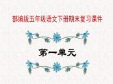 部编版五年级语文下册复习知识点课件PPT