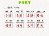 部编版五年级语文下册复习知识点课件PPT