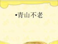 小学语文人教部编版六年级上册第六单元20* 青山不老教案设计