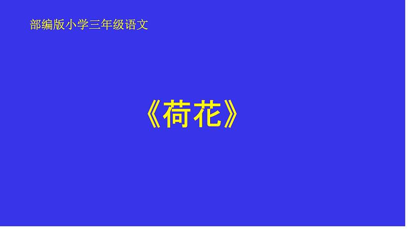 部编版语文三年级下册 3 荷花课件PPT01