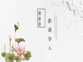 部编版语文三年级下册 3 荷花课件PPT