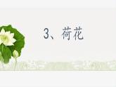 部编版语文三年级下册 3 荷花 (1)课件PPT