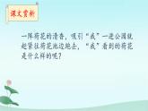 部编版语文三年级下册 3 荷花 (1)课件PPT