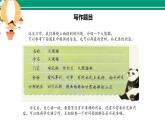 部编版 三年级语文下册 第七单元作文《国宝大熊猫》课件