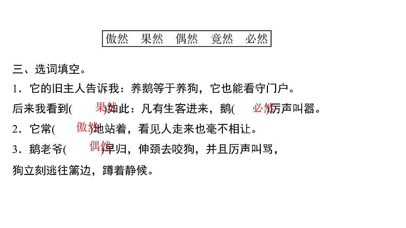 四年级下册部编版语文习题课件  第四单元 15   白鹅第5页