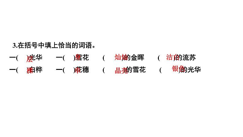 四年级下册部编版语文习题课件  第三单元 11 白　桦第6页