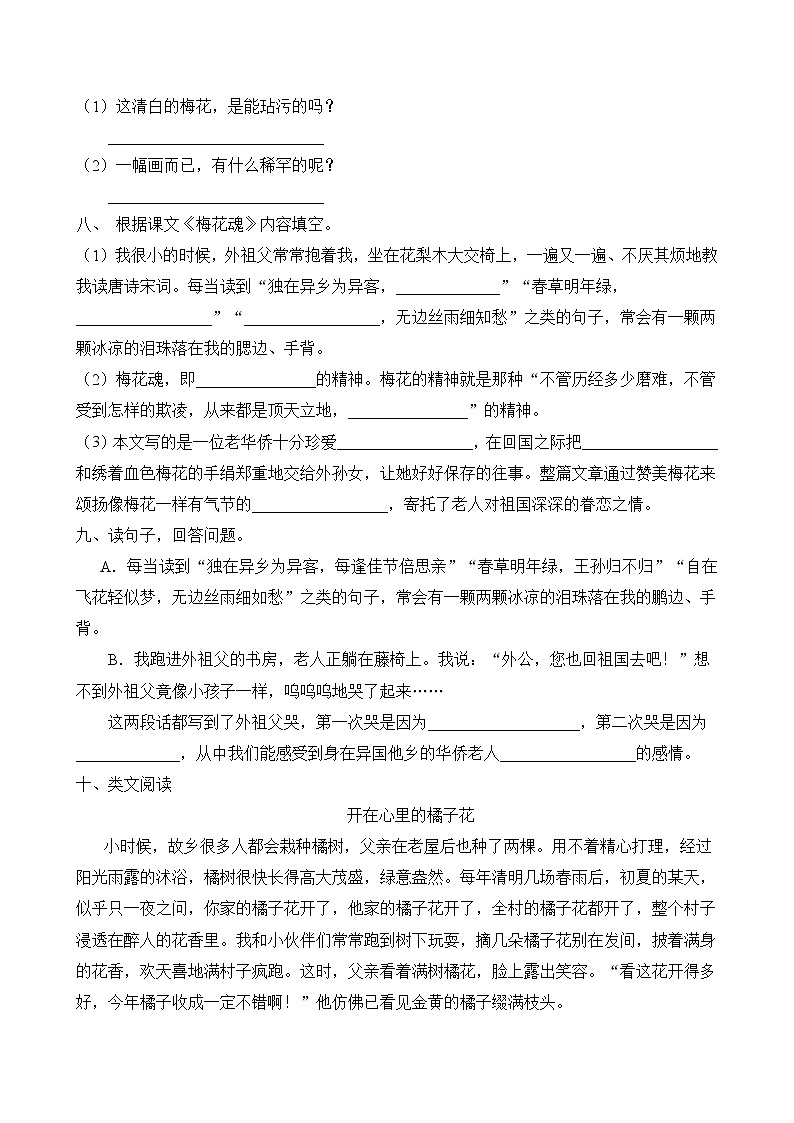 统编版五年级语文下册同步练习4.梅花魂（B卷含答案）第2页