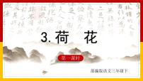 人教部编版三年级下册3 荷花评课ppt课件