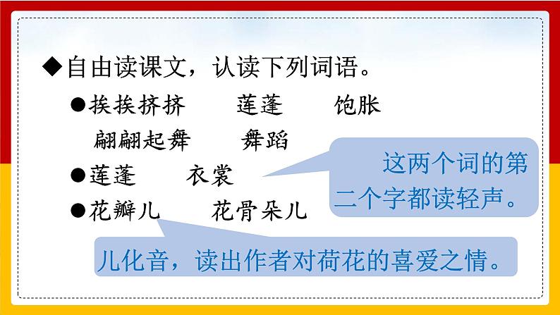 3 .荷花 课件第6页