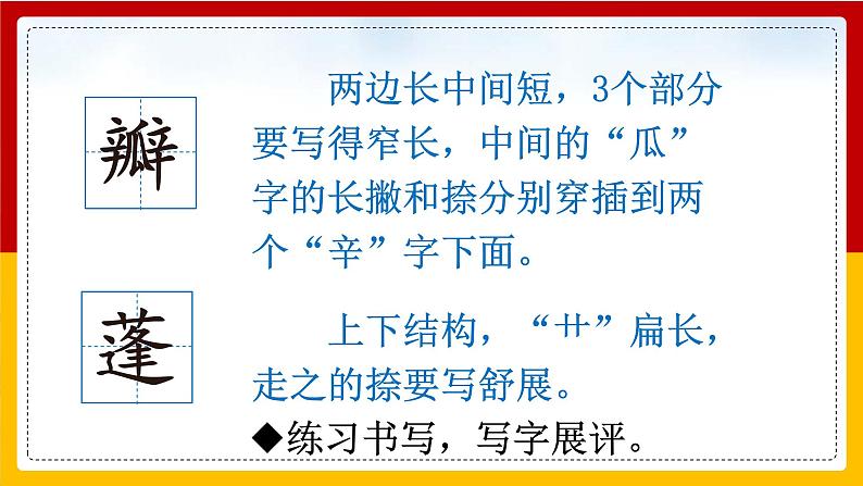 3 .荷花 课件第8页