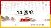 小学人教部编版14 蜜蜂授课ppt课件