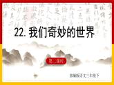 22.我们奇妙的世界 第二课时 课件+教案+练习