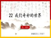 22.我们奇妙的世界 第一课时 课件+教案+练习
