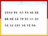 23. 海底世界 第二课时 课件+教案+练习