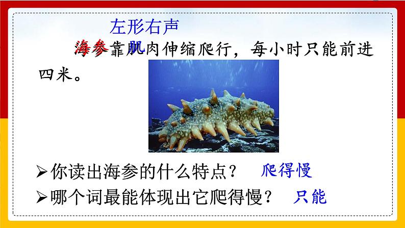 23. 海底世界 第二课时 课件+教案+练习05