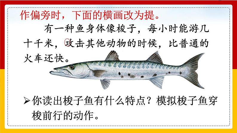 23. 海底世界 第二课时 课件+教案+练习06