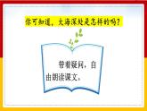 23. 海底世界 第一课时 课件+教案+练习