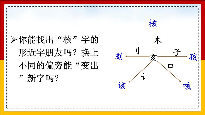 28.枣核 课件第5页