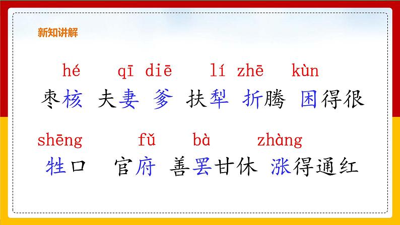 28.枣核 课件第7页