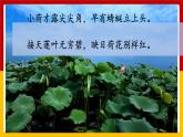 3.《荷花》第一课时 课件+教案+练习