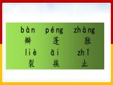 3.《荷花》第一课时 课件+教案+练习