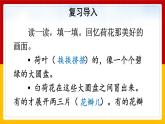 3.《荷花》第二课时 课件+教案+练习