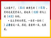 3.《荷花》第二课时 课件+教案+练习