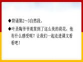 3.《荷花》第二课时 课件+教案+练习