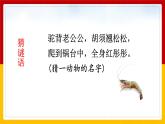 15.《小虾》课件+教案+练习