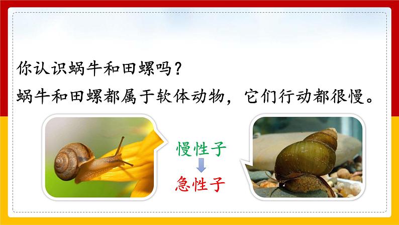 25.《慢性子裁缝和急性子顾客》第一课时课件+教案+练习02