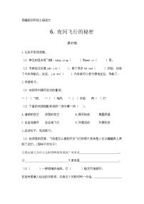 小学语文6 夜间飞行的秘密课后作业题