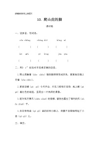 人教部编版四年级上册10 爬山虎的脚同步达标检测题