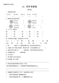 语文四年级上册第四单元14 普罗米修斯精练