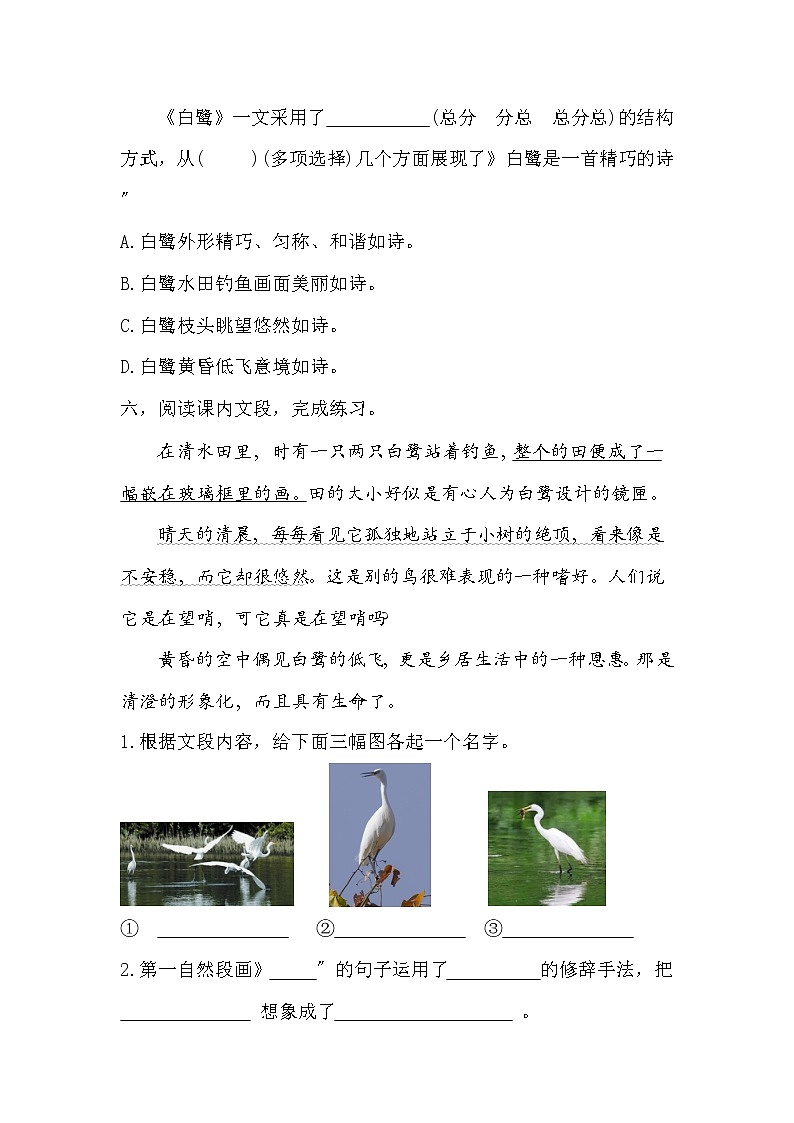 部编版五年级上册语文课时练第1课《白鹭》01及答案第3页