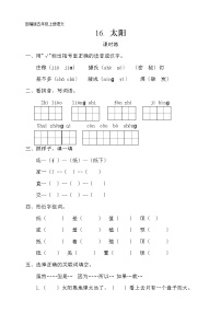 人教部编版五年级上册16 太阳课后测评