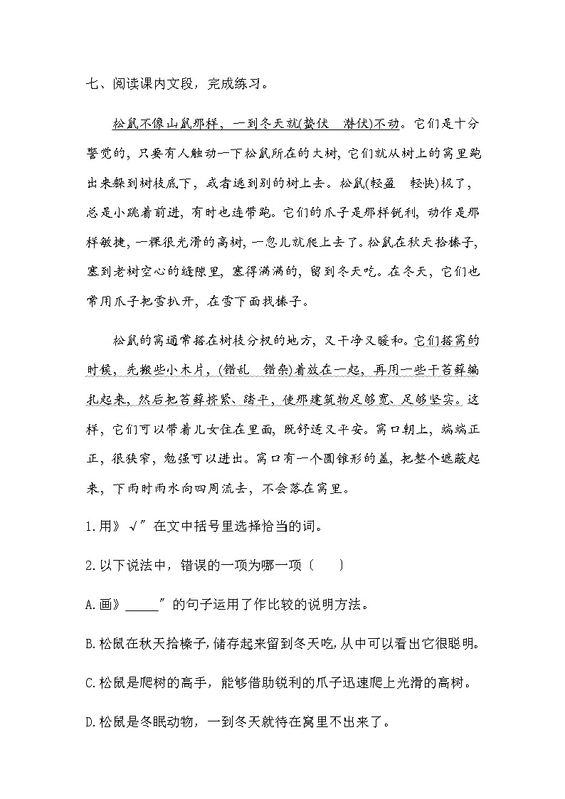 部编版五年级上册语文课时练第17课《松鼠》03及答案03