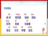 2 .祖父的园子（课件+教案+练习）