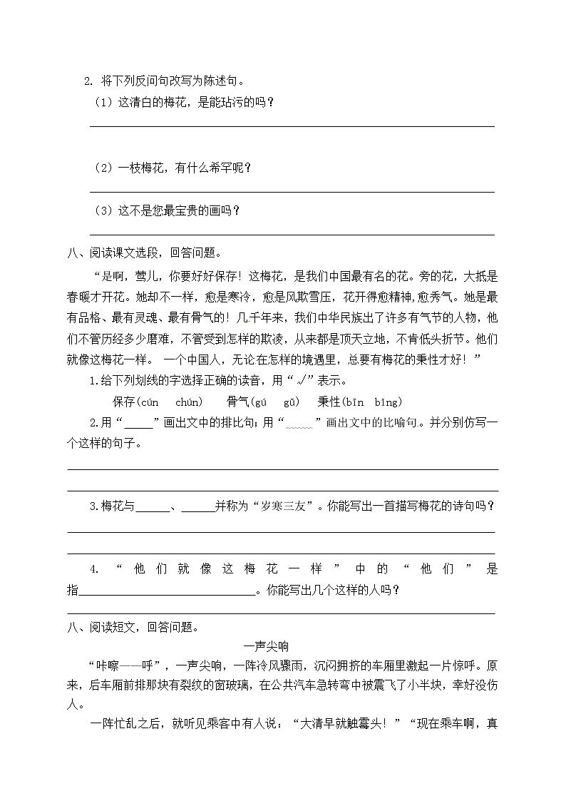 4.《梅花魂》（课件+教案+练习）02
